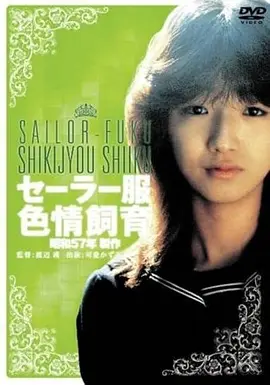 山海拾遗 手机免费在线观看